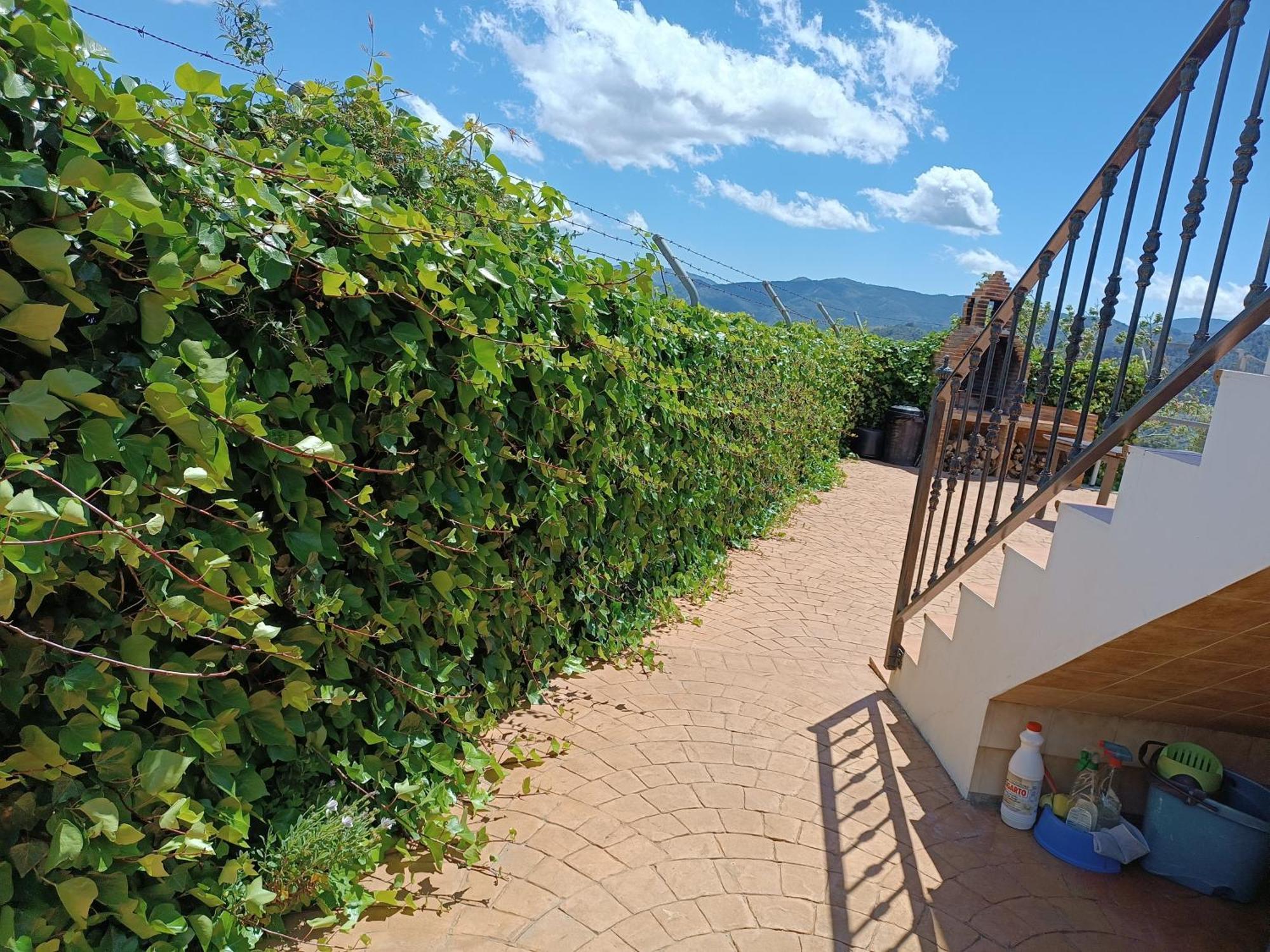 Casa Rural La Revuelta Con Las Mejores Vistas A La Naturaleza Yunquera Екстер'єр фото